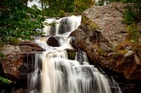 Te ayudamos a conservar el medio ambiente